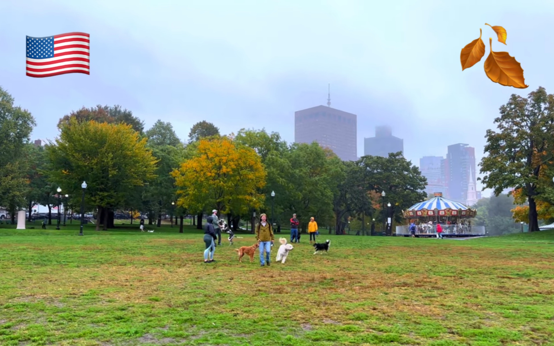 【超清】放松的秋季早雨漫步游美国波士顿 (Boston)|公共花园,灯塔山,橡子街 拍摄日期:2022.10哔哩哔哩bilibili