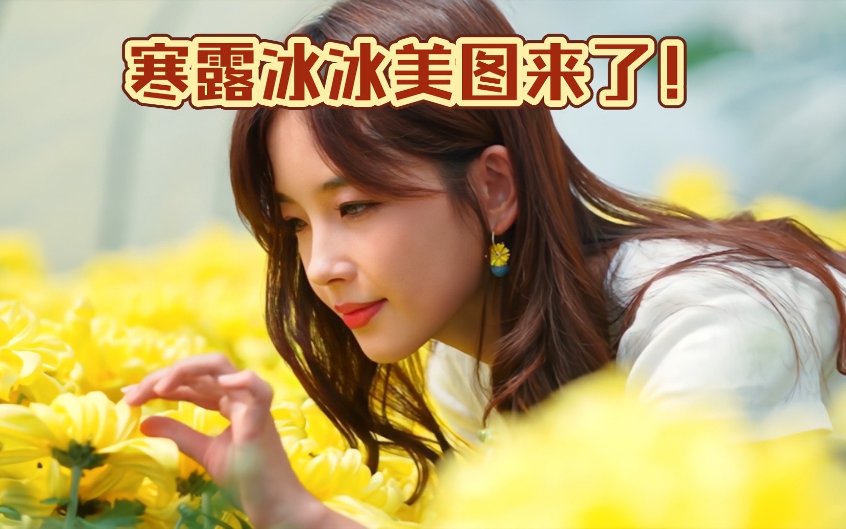 【王冰冰】寒露冰冰美图来了!