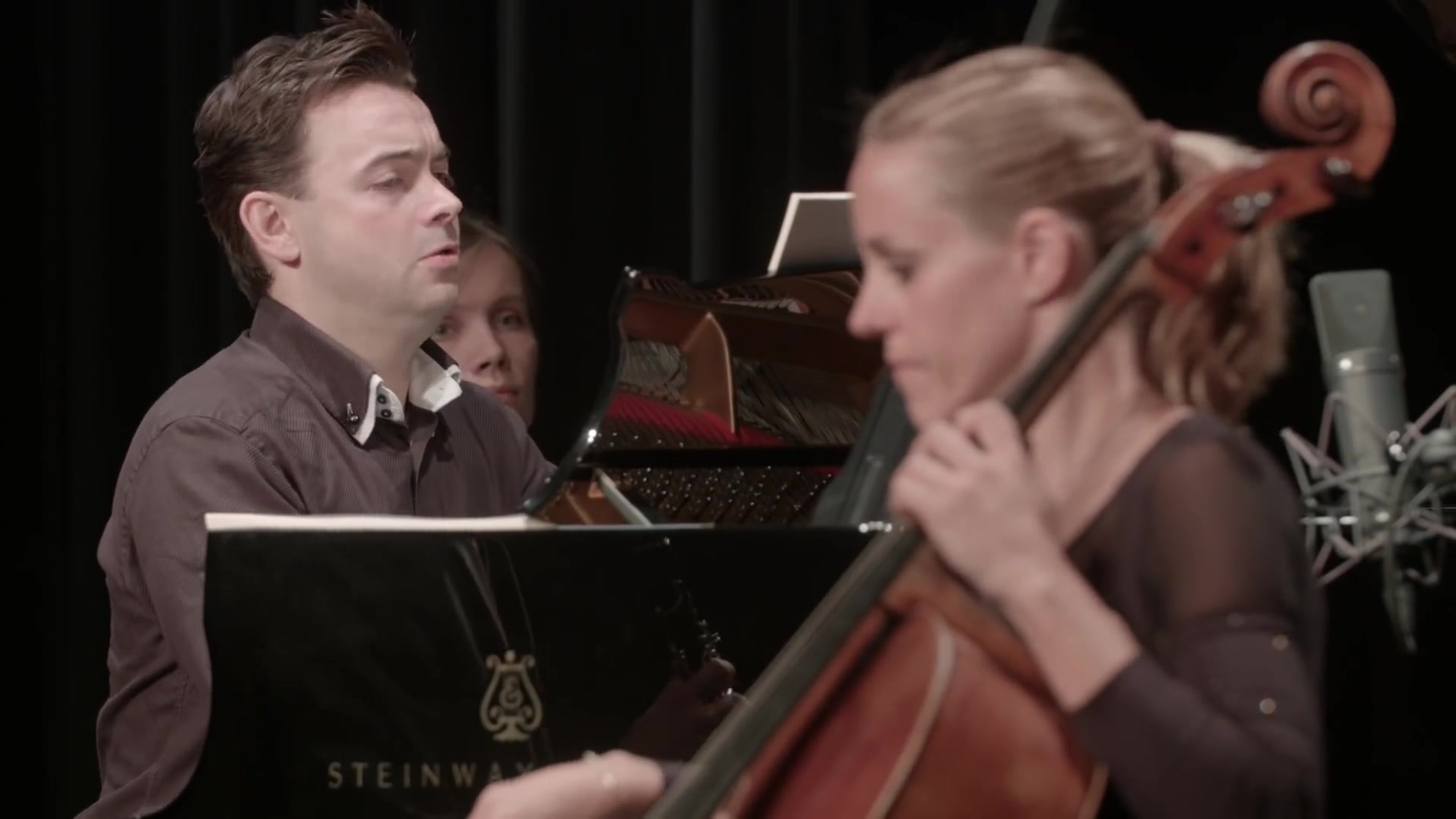 勃拉姆斯johannesbrahms单簧管三重奏clarinettrioinaminorop114