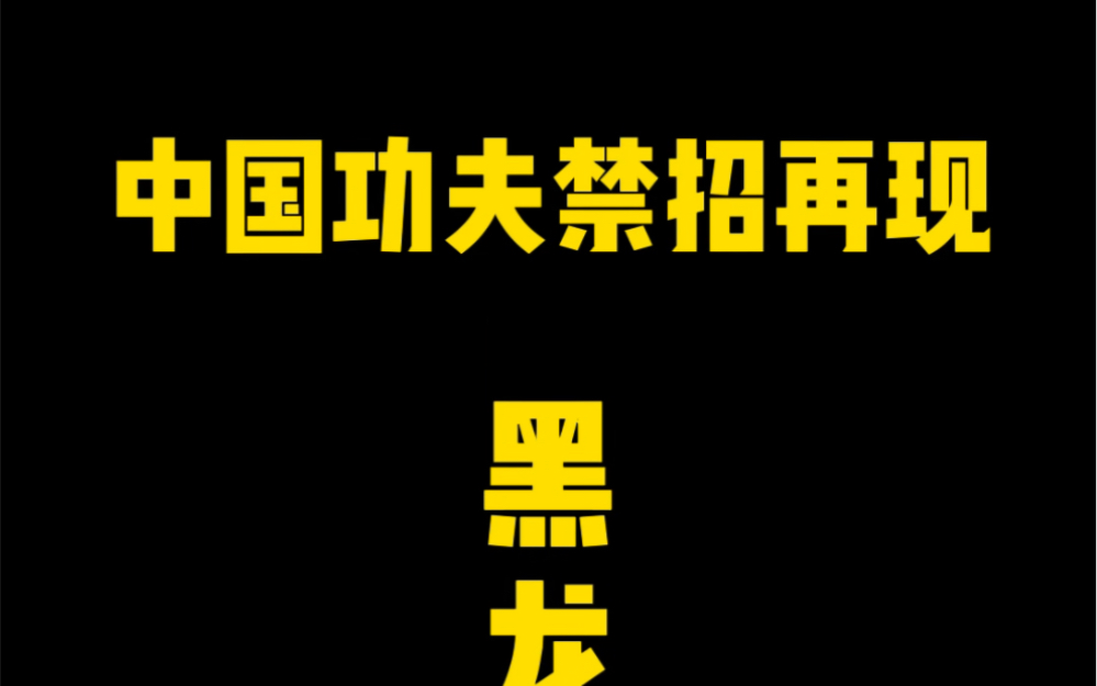 中国功夫黑龙十八手第一式第十式实战演示#格斗 #防身术 #一招制敌哔哩哔哩bilibili