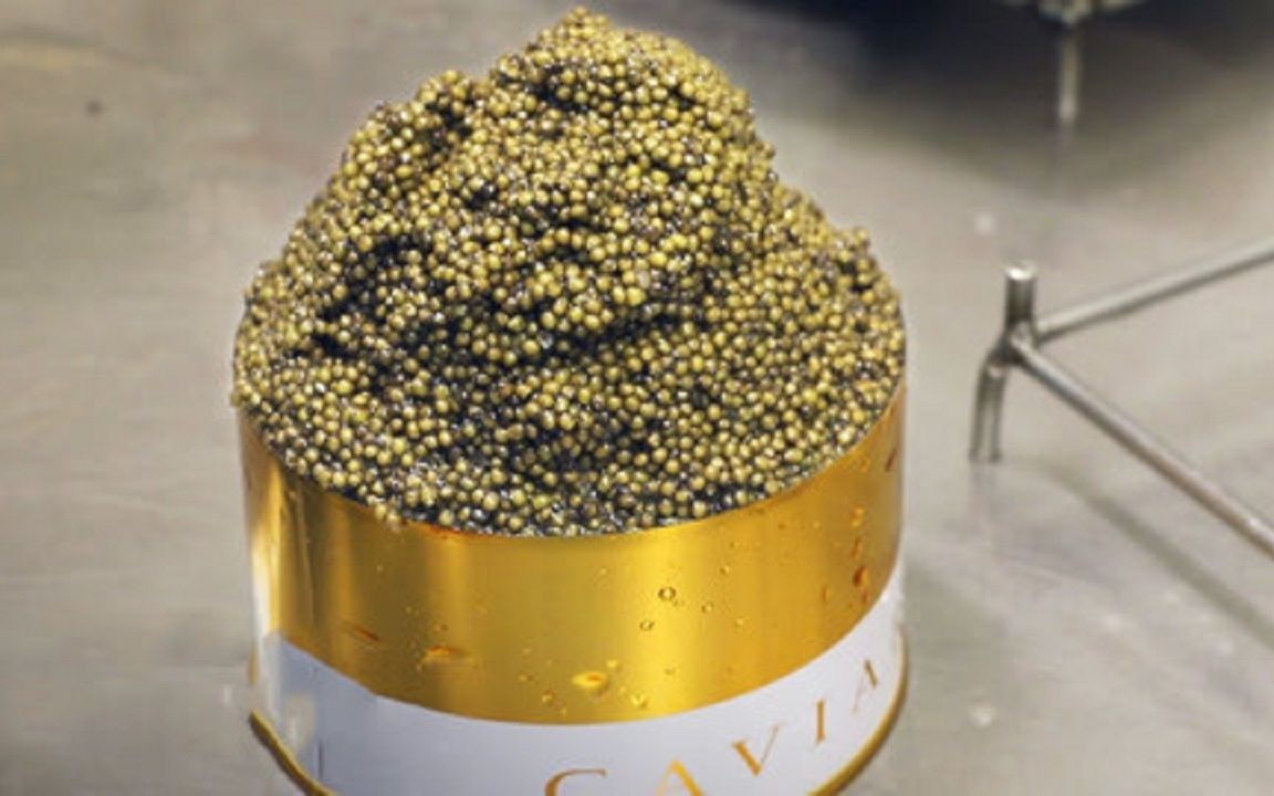 盘点世界上最贵的4种食物!一克几万?必须数着卖!