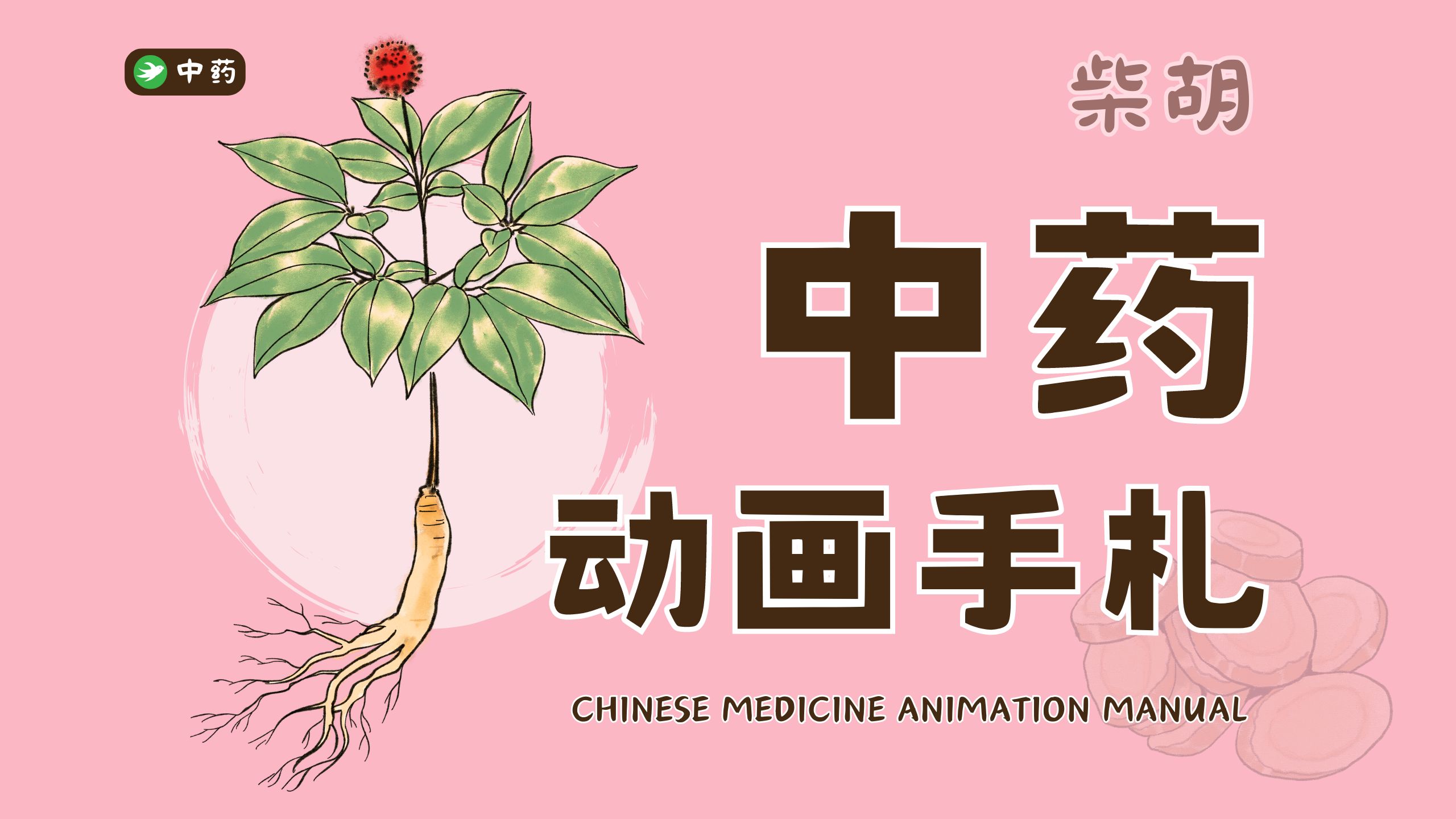 【耿小直】中药动画手札 | 柴胡