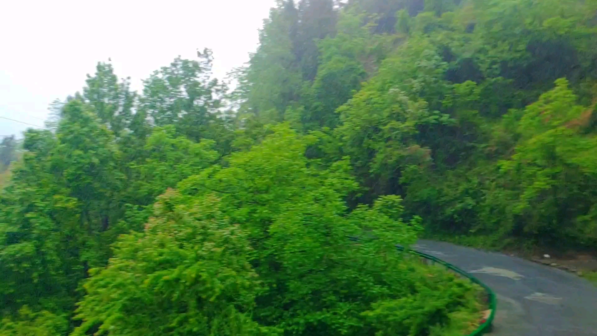 [图]这雨应该要下几天 希望别下大雨 因为大雨我们这会停电