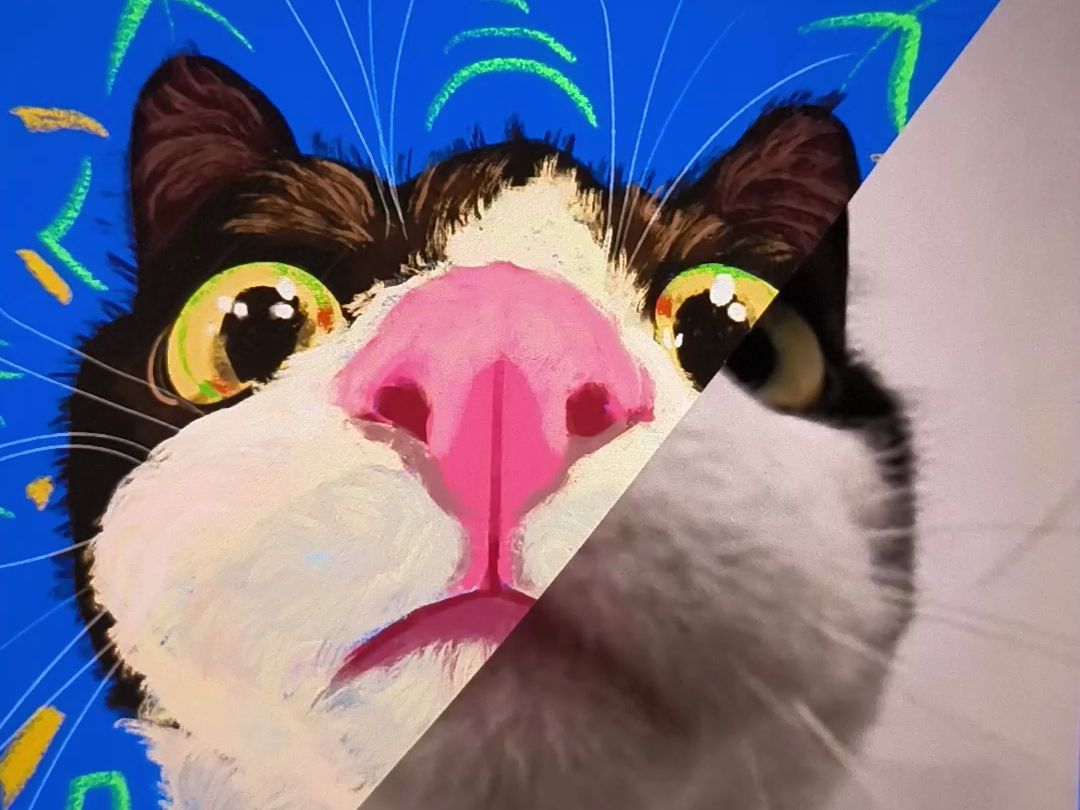 【100】五彩斑斓黑白猫