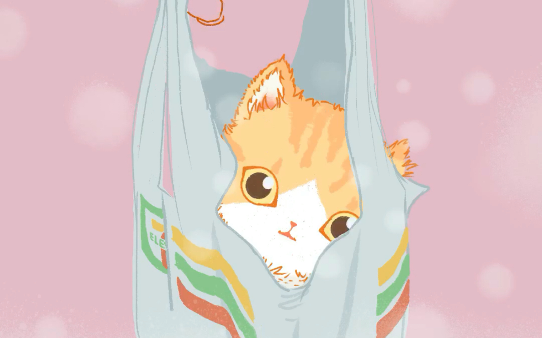 ipad procreate绘画练习 躲猫猫! 袋子里的橘猫～插画