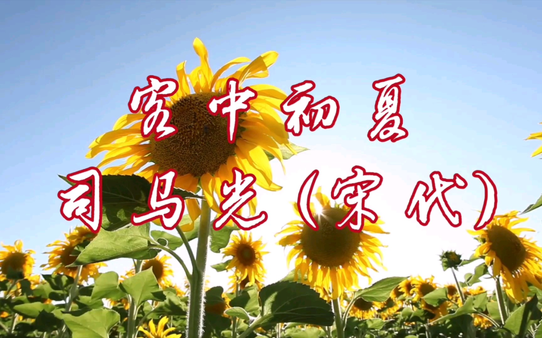 客中初夏司马光 (宋代)