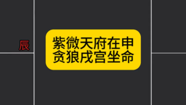 紫微斗数紫微天府在申贪狼在戌坐命哔哩哔哩bilibili