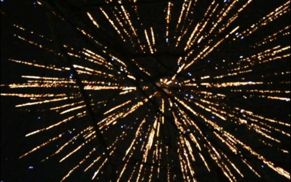 1.75寸(5寸长)柱形礼花弹烟花的两种非常奈斯的花型