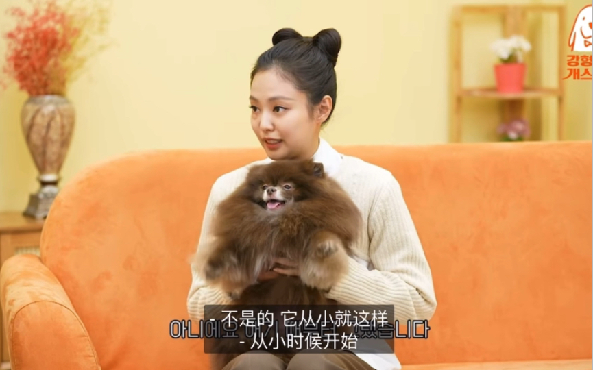 【中字】妮超级可爱～jennie带狗狗一起上新综艺!