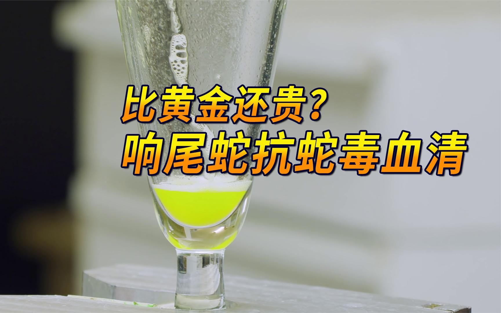 被毒蛇咬伤需要花费多少钱 提取响尾蛇毒液攻击血液过程