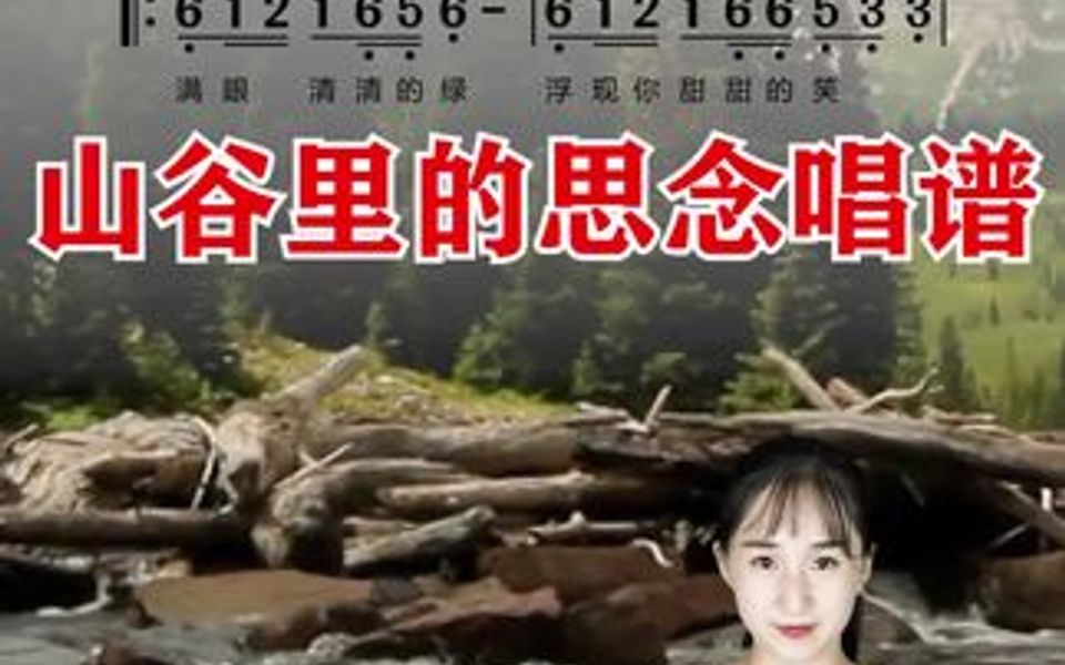 《山谷里的思念》简谱视唱哔哩哔哩bilibili