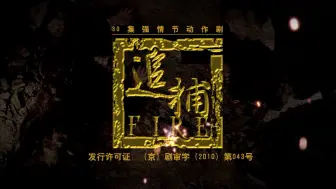 Download Video: 【剧情/动作】追捕（2010）【海清/邵兵】