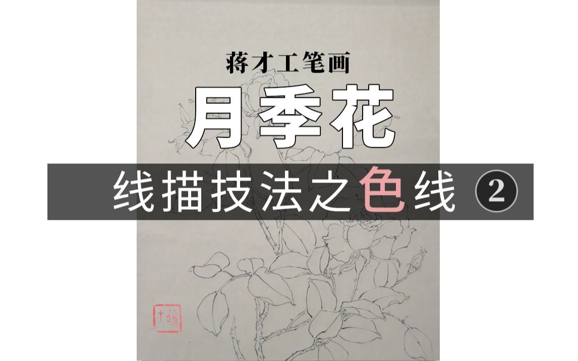 【蒋才国画】工笔画线描白描教学/色线 之月季花 (含讲解)哔哩哔哩bilibili