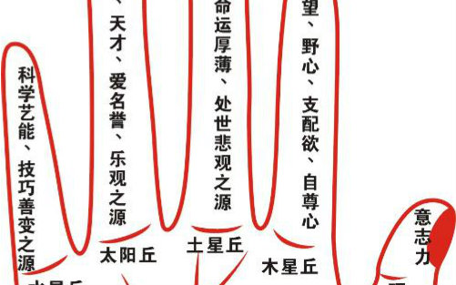 峰生水起精读班(掌相篇)-苏民峰