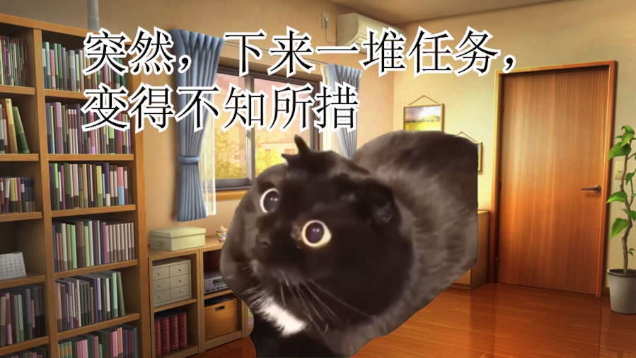 第七集#北京科技大学青菁实践团#猫meme小剧场#社会实践#整活哔哩哔哩bilibili