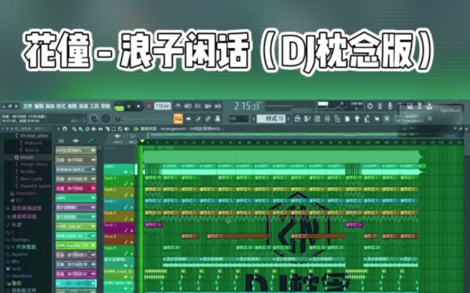 [图]花僮 - 浪子闲话（DJ枕念版）DJ枕念&DJ沈帽 演示工程