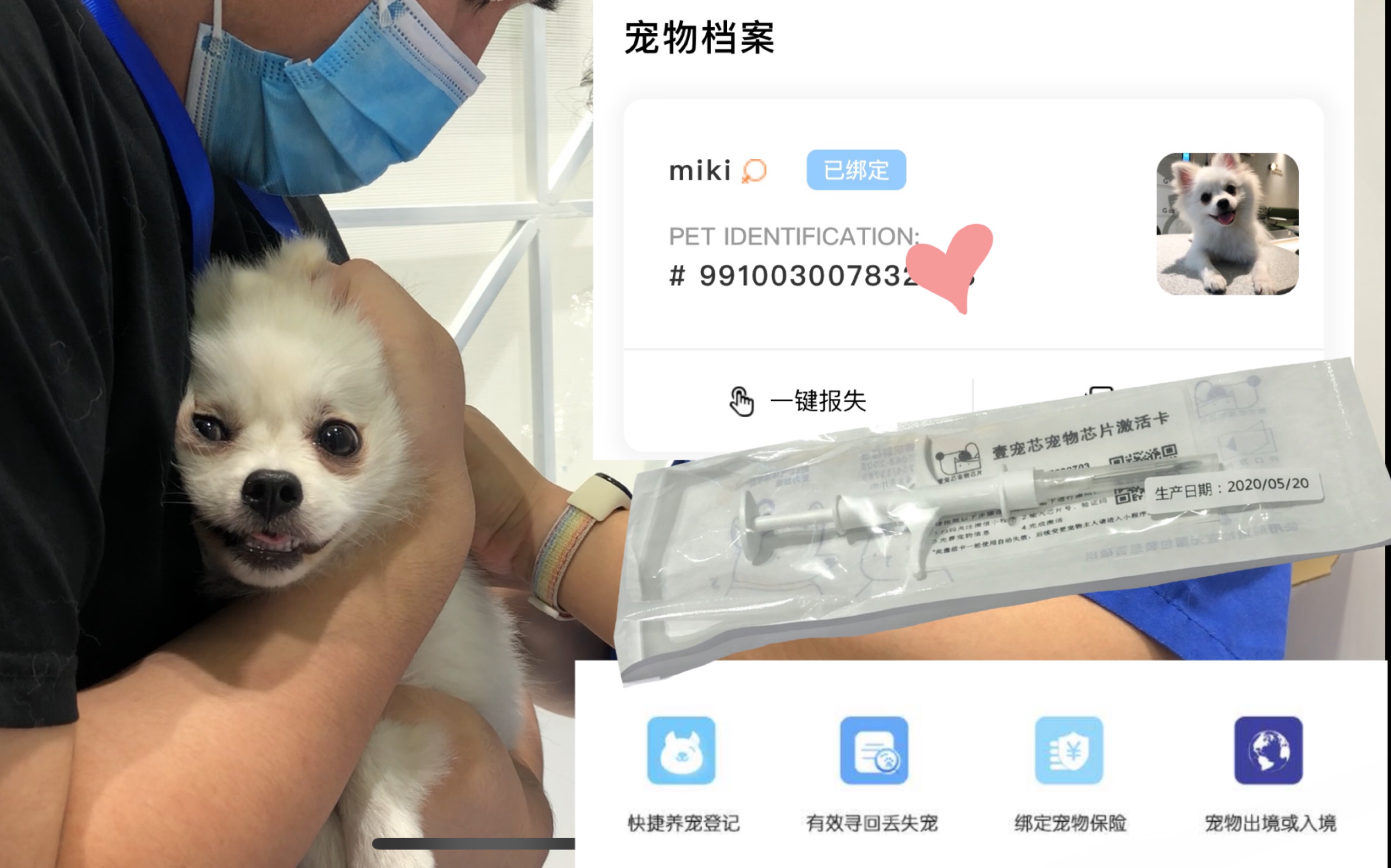 miki成为合法居民啦 狗狗注射电子芯片实录 扫码器一扫就可以找到狗狗信息 深圳国际宠物展哔哩哔哩bilibili