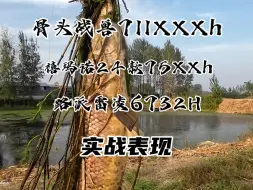 Download Video: 同一塘口，实战测试2000多的雷强杆，1000多的，和200多的雷强杆，有啥区别，你们自己看#清默雷强路 #探钓黑鱼 #如何找黑鱼 #雷强新手