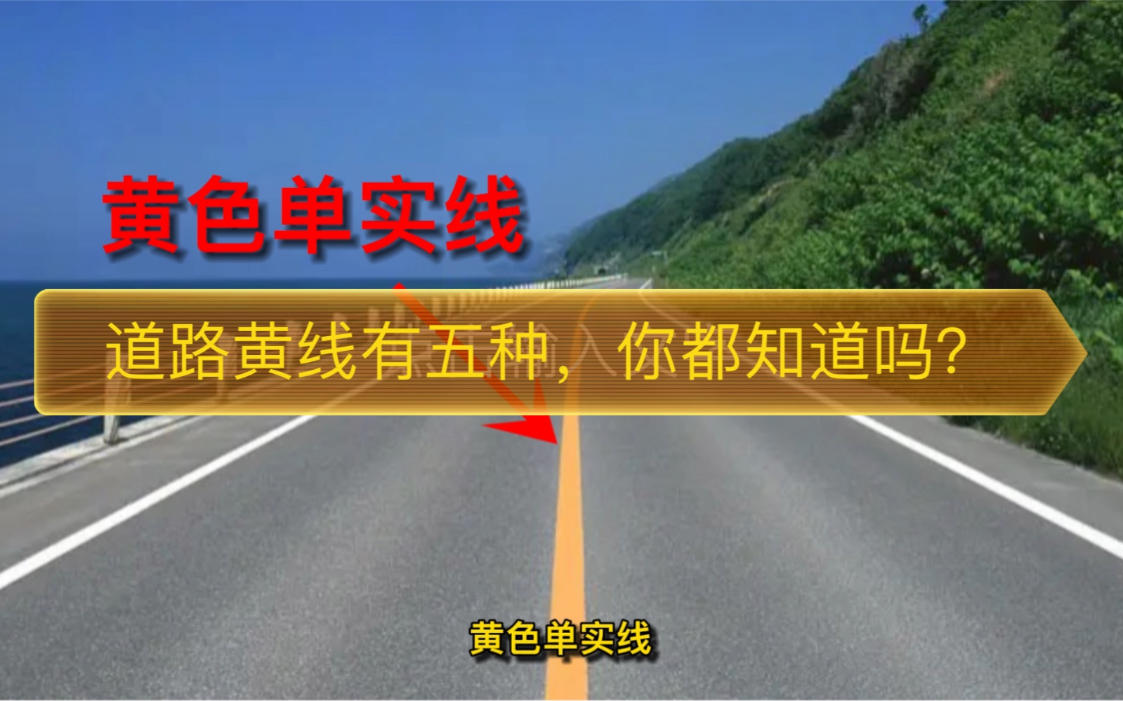 道路上黄线有五种,你都了解吗?哔哩哔哩bilibili