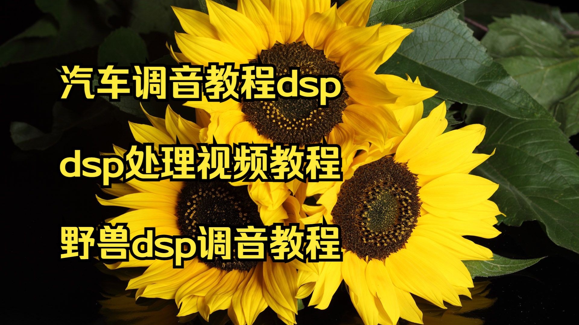 dsp教程，DSP教程最火
