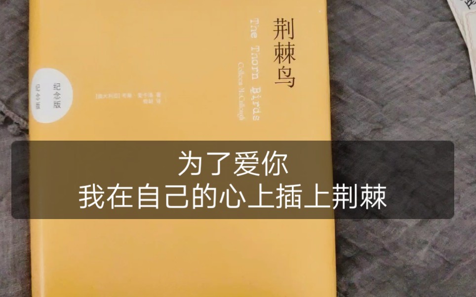 [图]读书‖《荆棘鸟》为了爱你，我愿意付出一切