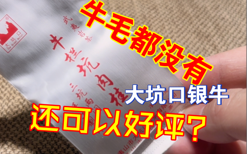 【口粮系列】大坑口牛栏坑肉桂,俗称,小银牛牛毛都没有的牛栏坑肉桂还可以给好评?哔哩哔哩bilibili