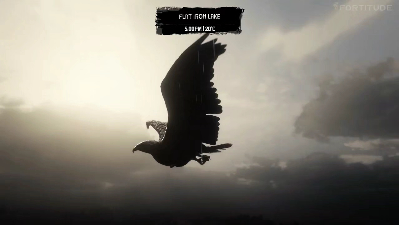 fortitude丨坚毅『模组娱乐』