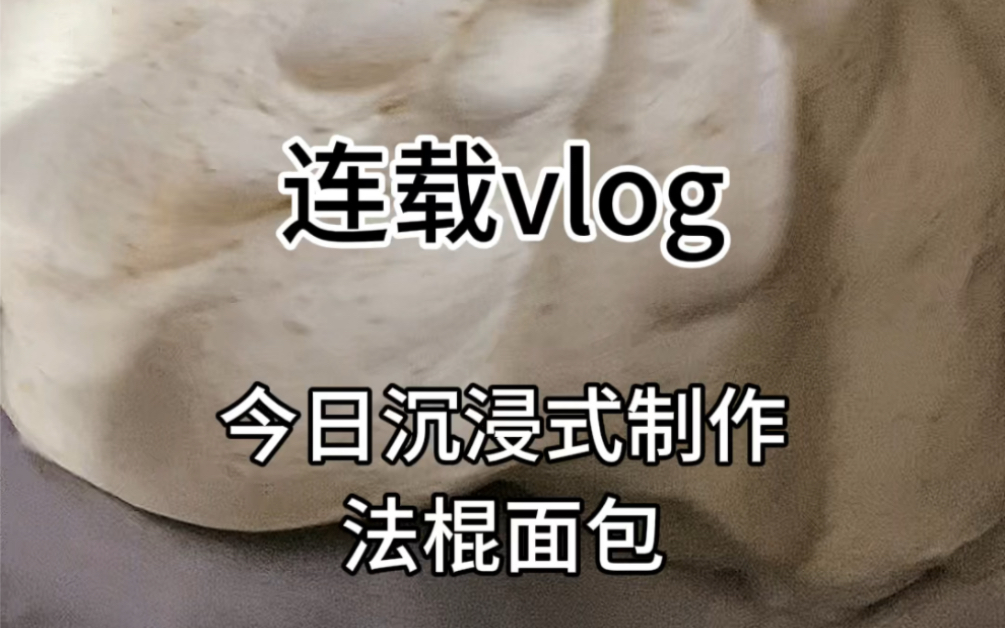 在乌鲁木齐开面包店日常,今日沉浸式制作法棍面包哔哩哔哩bilibili