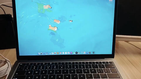 搜索 哔哩哔哩 つロ干杯 Bilibili