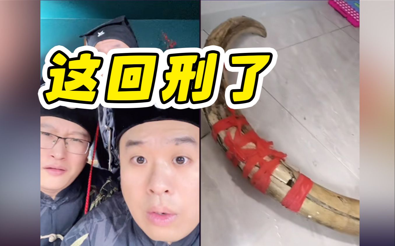 睿泽鉴宝9月17日直播丨好家伙,太刑了!吓出表情包-睿泽鉴宝-睿泽鉴宝-哔哩哔哩视频