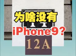 Descargar video: 为啥苹果不出iPhone2和9？【绿联】