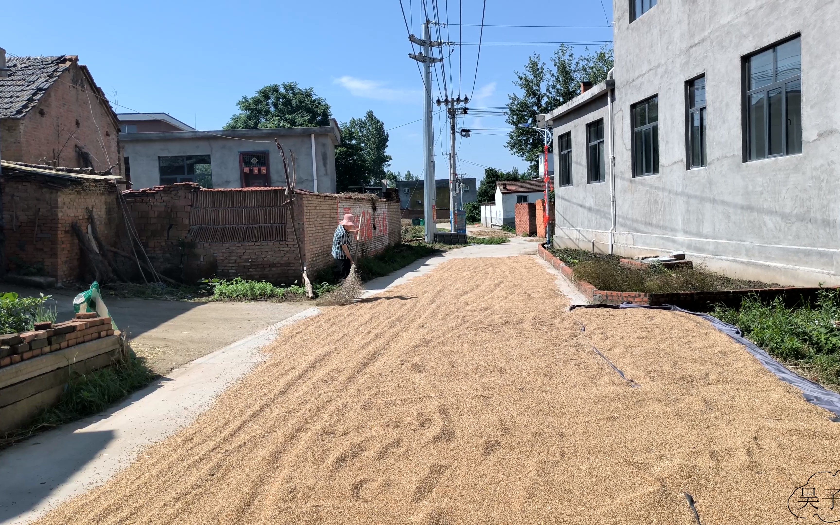 天晴后,晾晒一下小麦