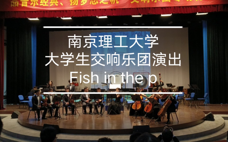 [图]南京理工大学交响乐团演出‖Fish in the pool