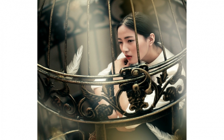 囚鸟,陈晗婧(十佳歌手)