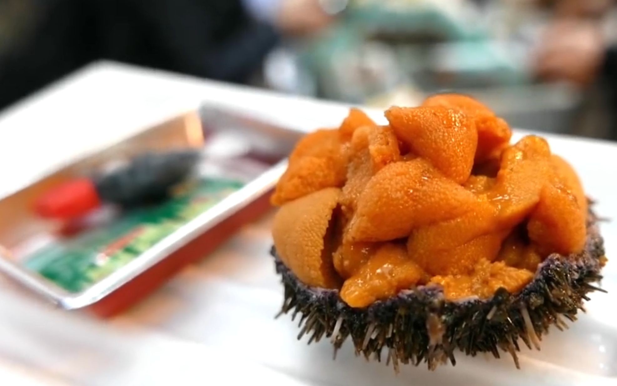 日本大阪街头海鲜大扇贝牡蛎海胆giantscallopsoystersseaurchin