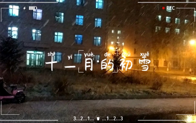 哈尔滨十一月的初雪,很美很温柔哔哩哔哩bilibili