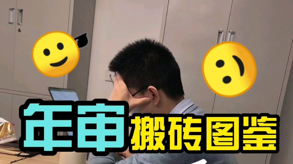 审计人年审搬砖图鉴哔哩哔哩bilibili