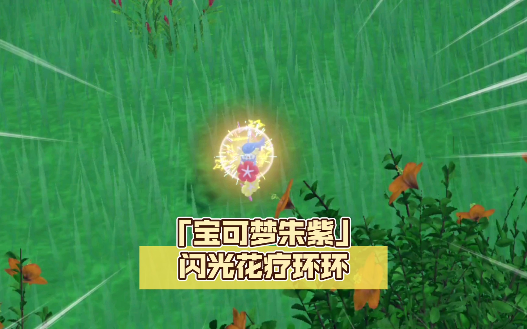 「宝可梦朱紫」闪光花疗环环get!