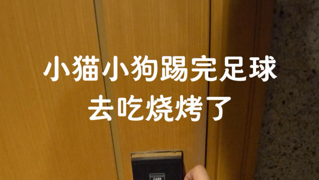 起猛了，看见猫狗踢完球去吃烧烤了