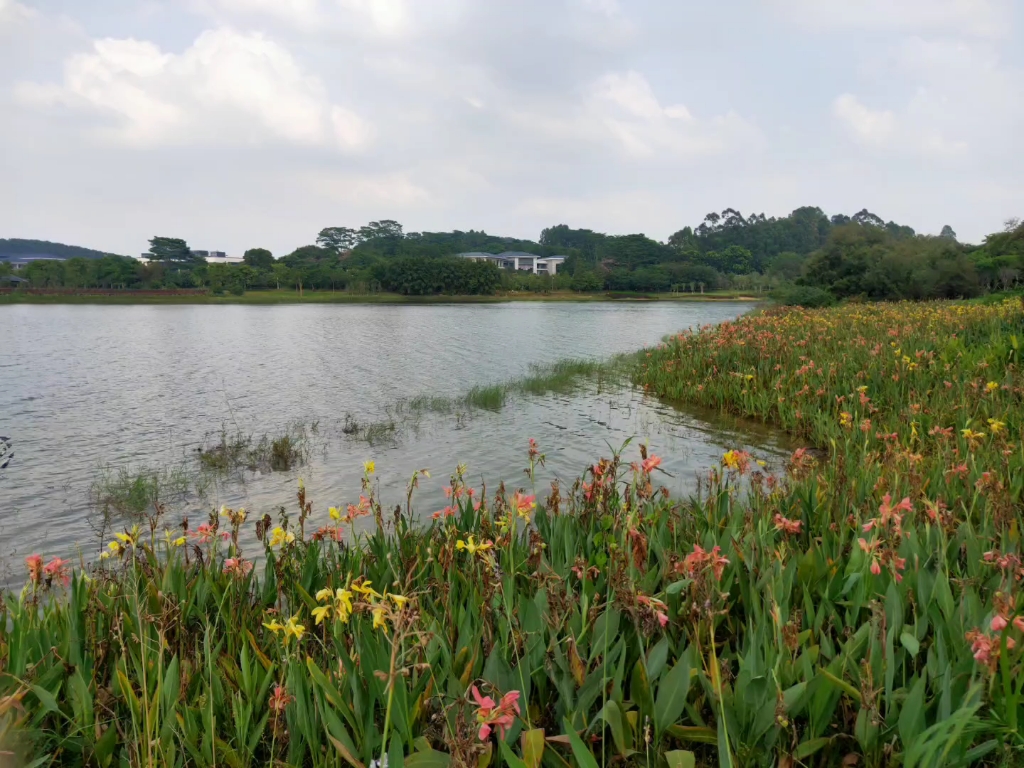 水濂湖公园一角