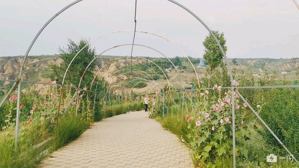 [图]榆次百草坡夏天傍晚闲逛山风凉凉