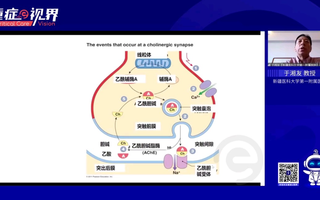 ICU中的肌松药物哔哩哔哩bilibili