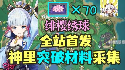 【原神】全站首发70个绯樱绣球丝滑采集路线~给神里绫华准备突破材料啦！