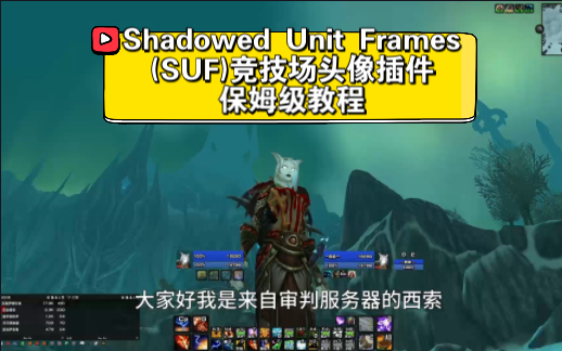 Shadowed Unit Frames(SUF)魔兽世界巫妖王之怒竞技场头像插件保姆级教程网络游戏热门视频