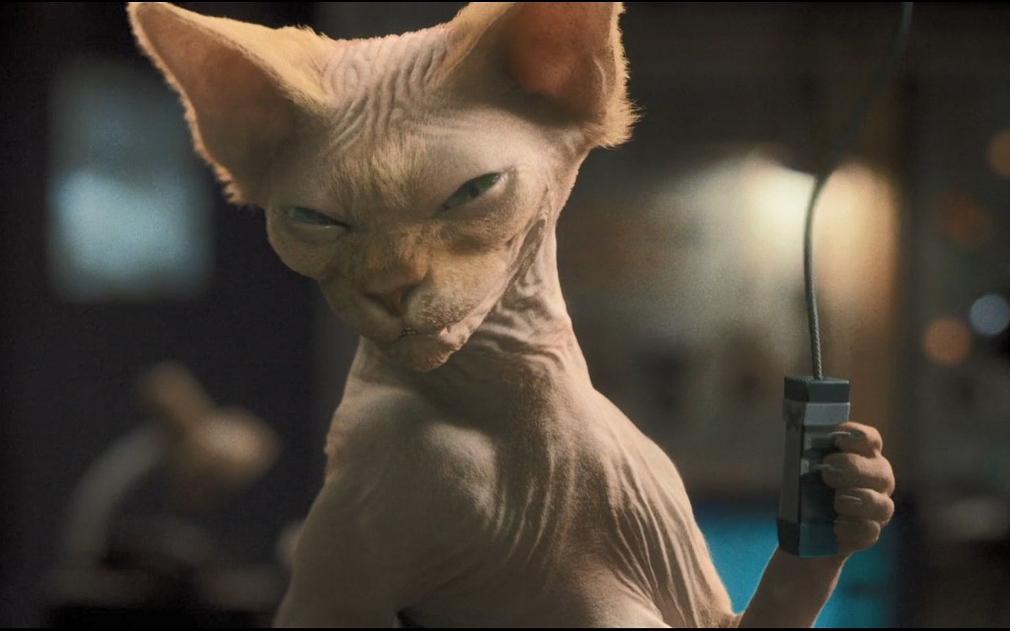 几分钟速看电影《猫狗大战2》网友:这配音太魔性了_哔哩哔哩 (゜-゜)