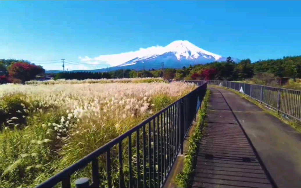 完全理解富士山景区是日本最美景区了! 带大家来富士山下赏美景.(纯风景欣赏)哔哩哔哩bilibili