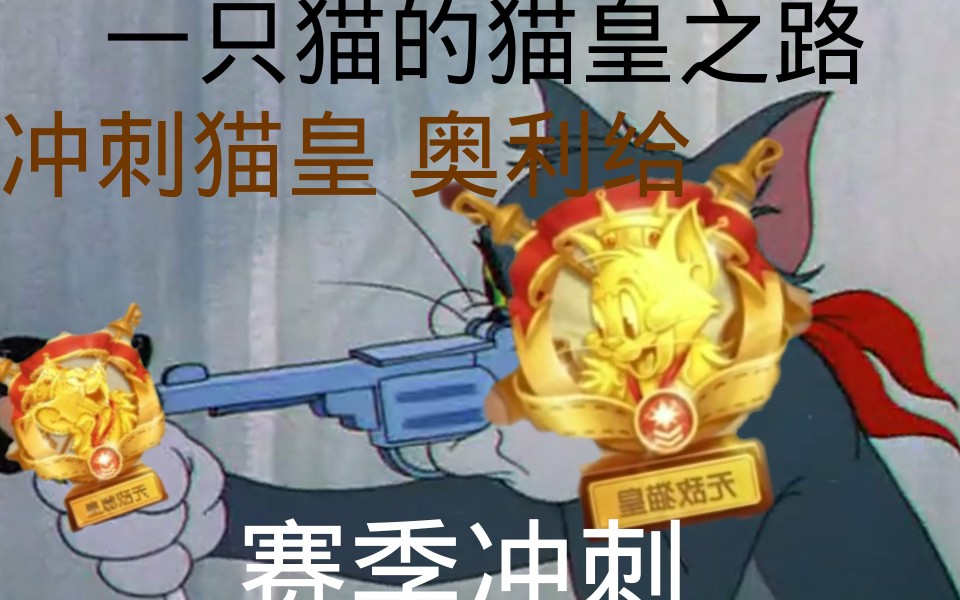 猫和老鼠手游一只猫的猫皇之路超燃混剪致敬所有还在坚持的玩家