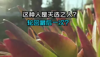 Download Video: 轮回️最后一世？这种人是天选之人？却需心智元神磨砺之苦，转念控念，随心转境