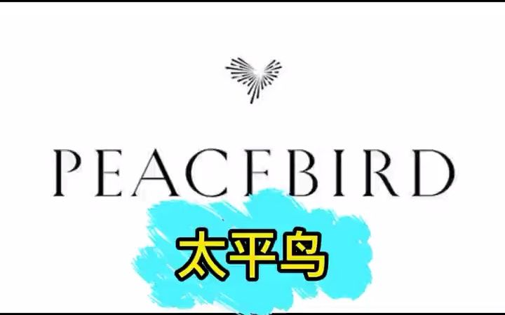 数字化变革成功案例——太平鸟,实现线下零售全面数据化!!  抖音哔哩哔哩bilibili