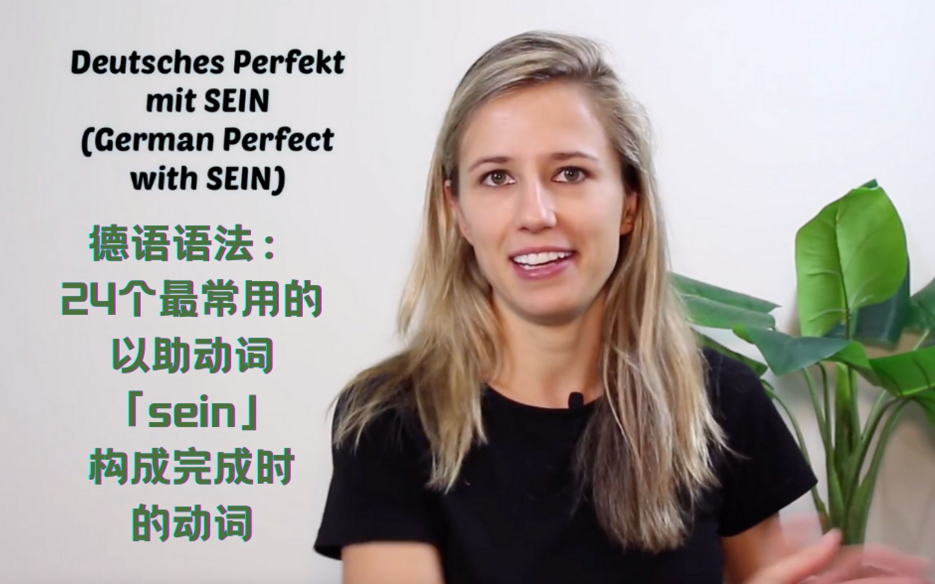 【德语语法】24个最常用的以助动词sein构成的完成时  Learn German with Anja Folge71Perfekt mit SEIN 2哔哩哔哩bilibili